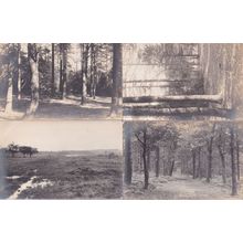Lake District & Barrow In Furness Forest 8x Antique Postcard s