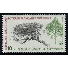FSAT TAAF Antarctic Flora 'Phylica nitida' 1980 MNH SG#147 MI#147
