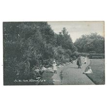 In The Park, Ventnor, Isle Of Wight, Postcard.