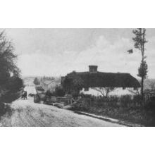 Petlands Farm Franklynn Roasd Haywards Heath Sussex Postcard