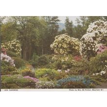 Lea Gardens Mayfield Derbyshire Womens Institute Postcard