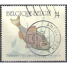 Belgique 1990 Michel 2437 O Cote (2008) 1.75 € Poisson Bouvière Cachet rond