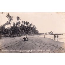 Colombo Outrigger Fishing Canoes Hauled Up Cocoanut Palms Postcard