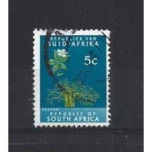 SouthAfrica.SG204 5c Baobab Tree.Variety Unchecked.Fine Used.Aug25j