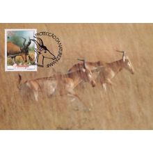 Der Lichtensteins Hartebeest Antelope WWF Stamp First Day Cover Postcard