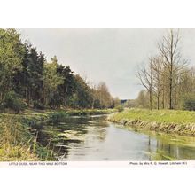 Little Ouse Norfolk Lake Two Mile Bottom Postcard