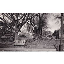 Deserted Park Bench at Collingham Green Yorkshire Real Photo Postcard