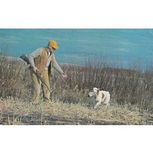 Canadian Fox Hunter Shooting With Dog Canada 1960s Postcard