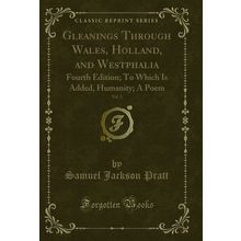 Gleanings Through Wales, Holland, and Westphalia, Vol. 3 (Classic Reprint)