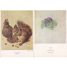 Durer Squirrels Violets 2x Vintage Medici Society Painting Postcard s