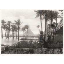 Rudolf Lenhert La Crue Egyptian Romance By Pyramid Photo Postcard