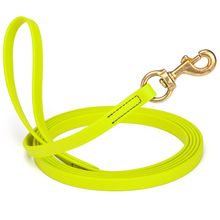 Dog Pet Leash Safety Yellow w/ Brass Hardware W 5/8" - L15'
