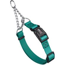 Dog Pet Martingale Collar with QR Buckle 1" W 20-26" L Teal