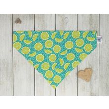 Over-The-Collar Dog Bandana Small