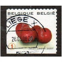BEL 2007 (52c)(S/A) 'FRUIT- CHERRIES' FINE USED (EBID10394)