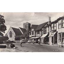 Brighton Training College Antique Sussex Postcard