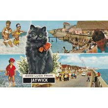 Good Luck From Jaywick Black Cat Postcard