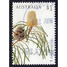 Australia 2018 Banksias - Banksia speciosa $1 Sheet Used