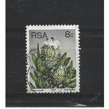 SouthAfrica.SG421 8c Protea Mundii.Fine Used.Sep25e