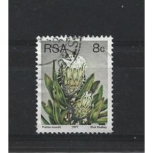 SouthAfrica.SG421 8c Protea Mundii.Fine Used.Sep25n