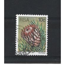 SouthAfrica.SG423 10c Protea Aristata.Fine Used.Sep25b