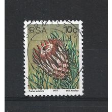 SouthAfrica.SG423 10c Protea Aristata.Fine Used.Sep25s