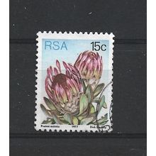 SouthAfrica.SG424 15c Protea Eximia.Fine Used.Sep25b