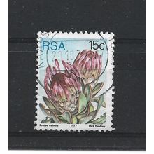 SouthAfrica.SG424 15c Protea Eximia.Fine Used.Sep25k