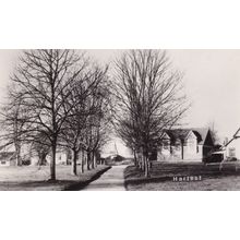 Hartest Suffolk Nr Lavenham Autumn Trees Real Photo Old Postcard