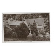 Deep Dene, Jesmond Dene, Northumberland, RP Postcard.