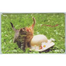 Kitten & Hat Japan NTT Phone Card