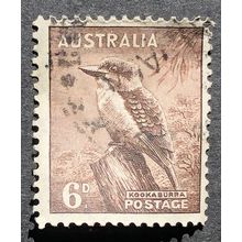 AUSTRALIA 1937 SG 0172 'KOOKABURRA' USED