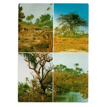 Postcard Senegal Gambia West Africa multiviews native village trees 1992 stamp