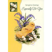 Springtime Greetings Especially For You - Easter Greeting Card - 22738