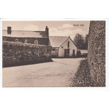 North Hill Village Street Scene Nr Launceston Cornwall Postcard