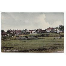 Danbury Common Essex Postcard 11515