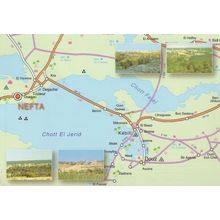 Nefta Tunisia Map Postcard