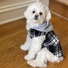Weekender Dog Sweatshirt Hoodie Black & White Plaid Flannel SMALL
