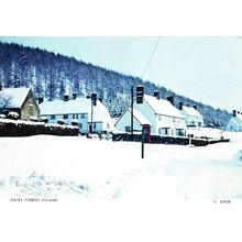 Postcard Dalby Forest Village, North Yorkshire. Unposted