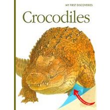 My First Discoveries Crocodiles