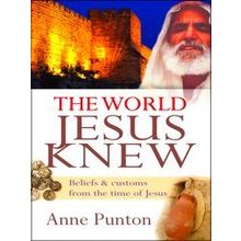 The World Jesus Knew - Anne Punton