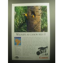 1993 Canon L1 8mm Video Camcorder Advertisement - Blue-throated Macaw