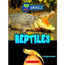 Wild World Reptiles (Wild World: Big And Small Animals)
