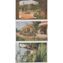 The Derry Gardens Kensington 100 Feet In The Air 3x Old Postcard s