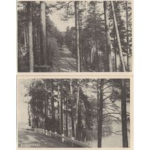 Punkaharju Finland 2x Antique Postcard s