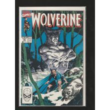Wolverine, #25, 1990, Marvel Comic Book, High Grade
