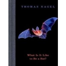 What Is It Like to Be a Bat?