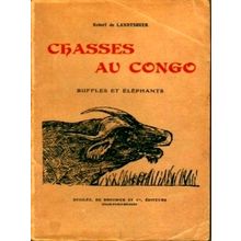 Chasses au Congo - Buffles et Elephants