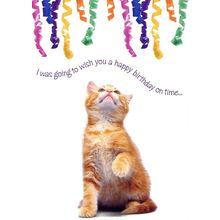 I Was Going To Wish You A Happy Birthday On Time - Birthday Greeting Card -00745