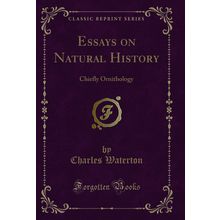 Essays on Natural History: Chiefly Ornithology (Classic Reprint)